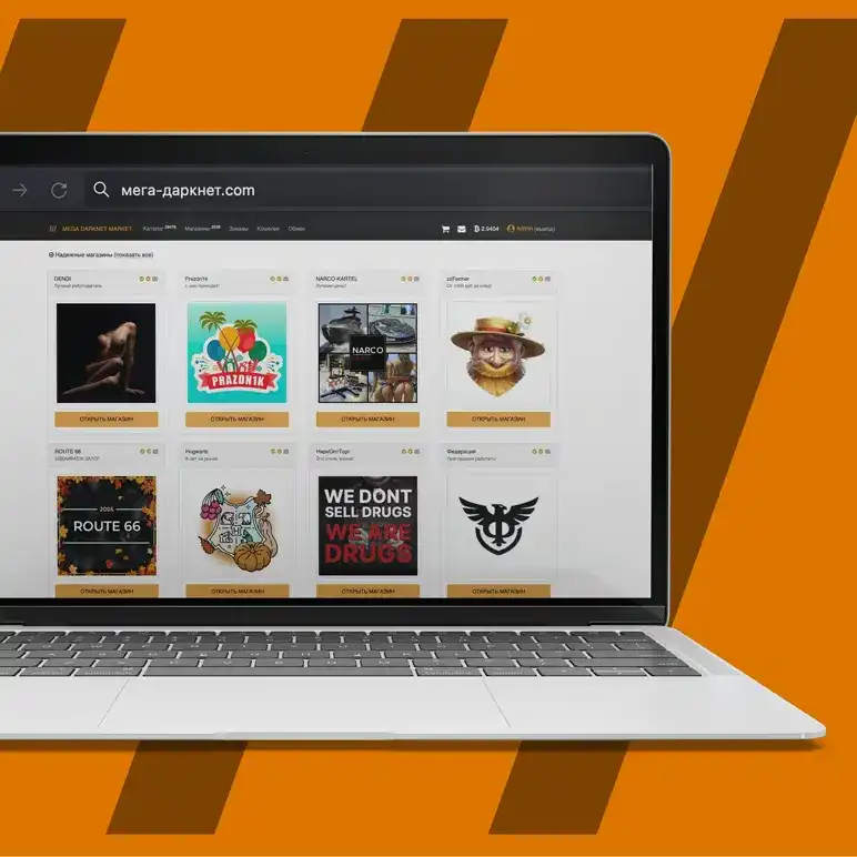 ссылка на mega